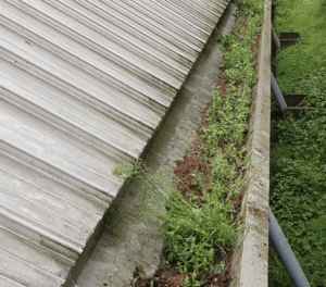 Happy customers in Four Marks who trust The Roof Moss Cleaners for gutter cleaning services