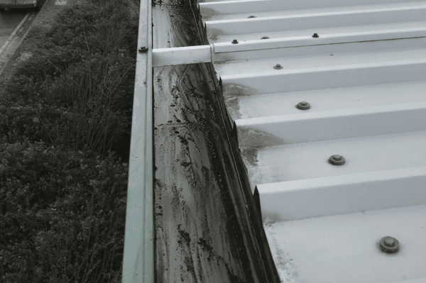 Commercial gutter cleaning specialists in Four Marks